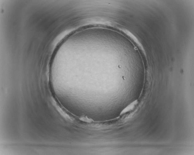 X0000081370791200701252013