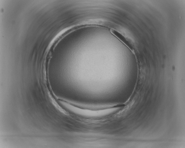 X0000081370792200701252013