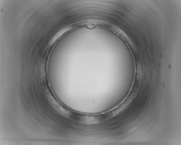 X0000081370794200701252013