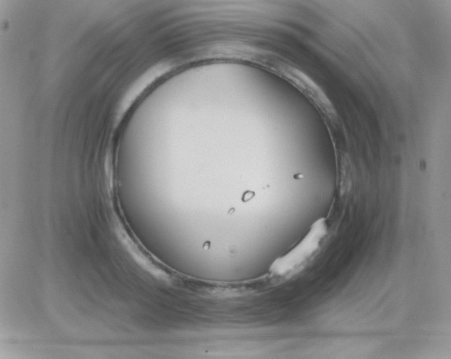 X0000081370796200701252013