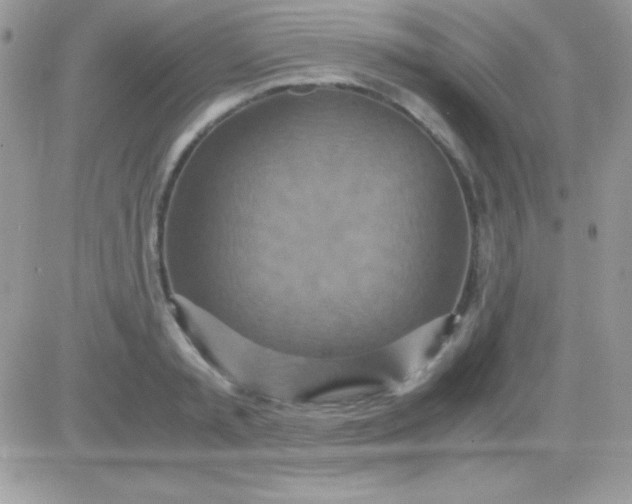 X0000081370797200701252013