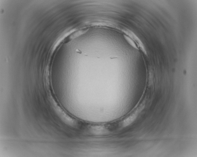 X0000081370798200701252013