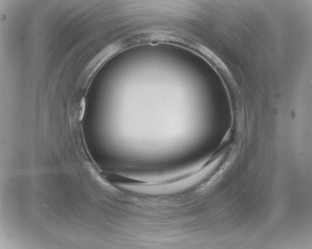 X0000081370801200701252013