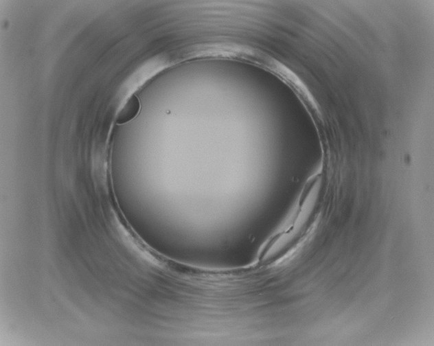 X0000081370802200701252013