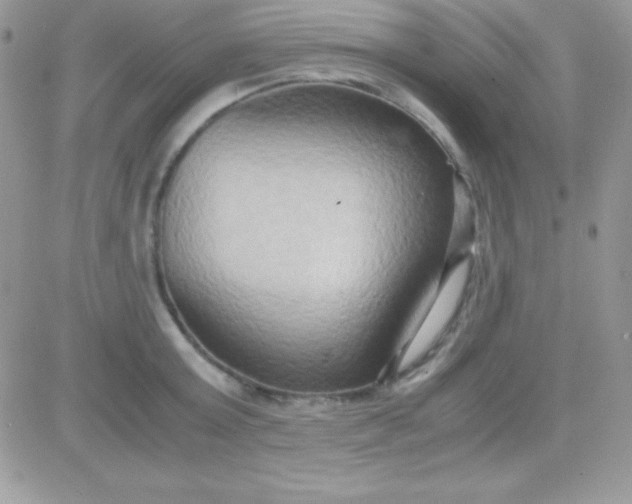 X0000081370803200701252013