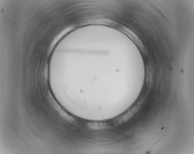 X0000081370804200701252013