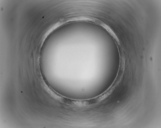 X0000081370805200701252013