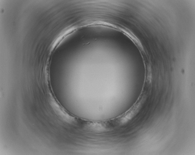 X0000081370806200701252013