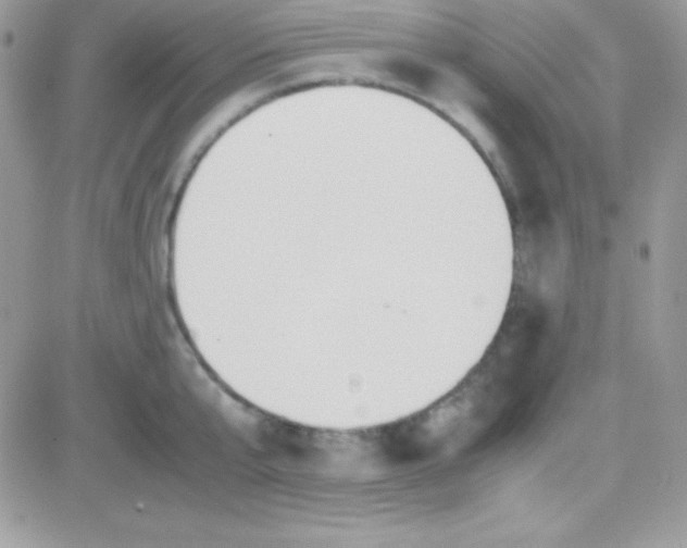 X0000081370807200701252013