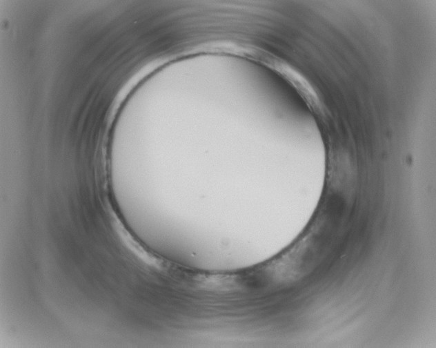 X0000081370808200701252013