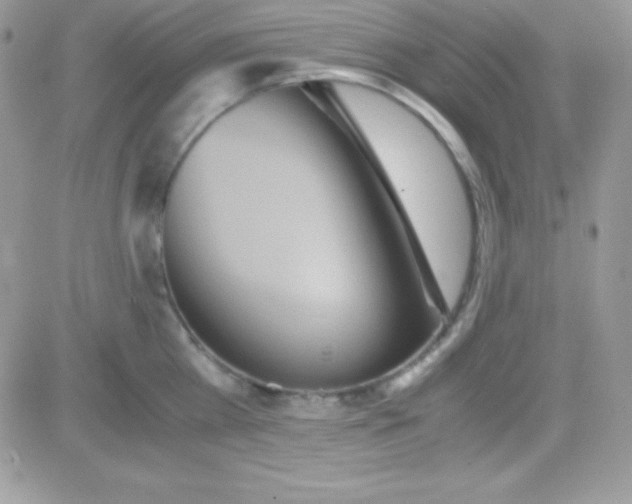 X0000081370809200701252013