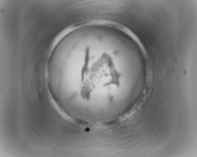 X0000081370811200701252012