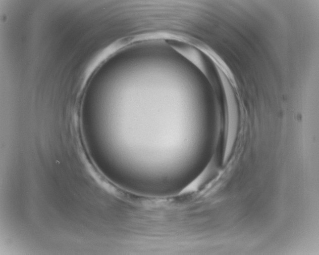 X0000081370813200701252012