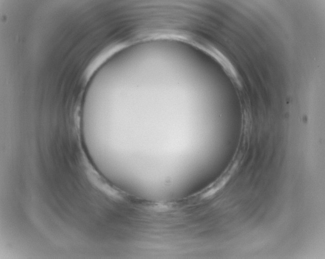 X0000081370814200701252012