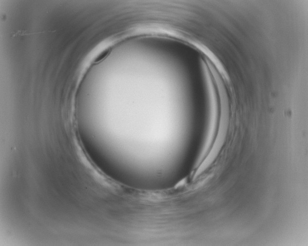 X0000081370815200701252012