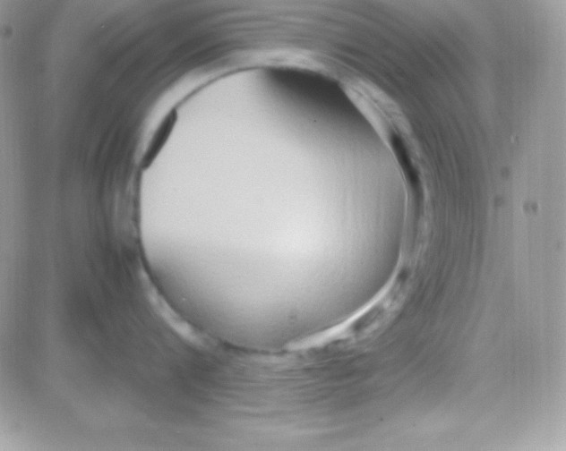 X0000081370816200701252012