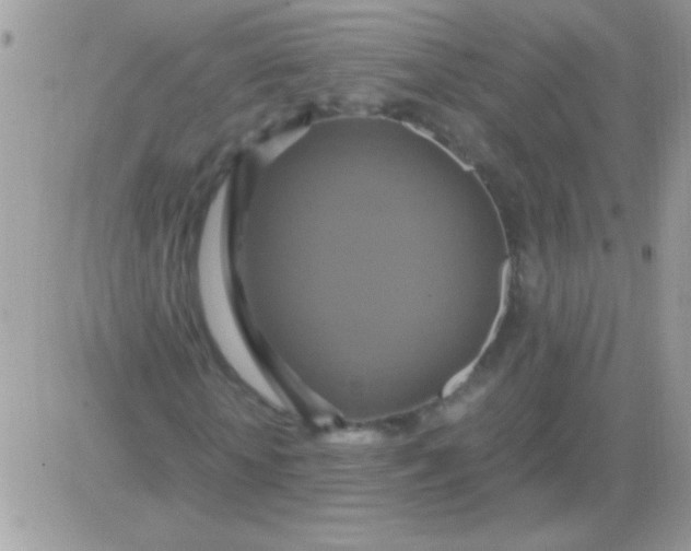 X0000081370818200701252012