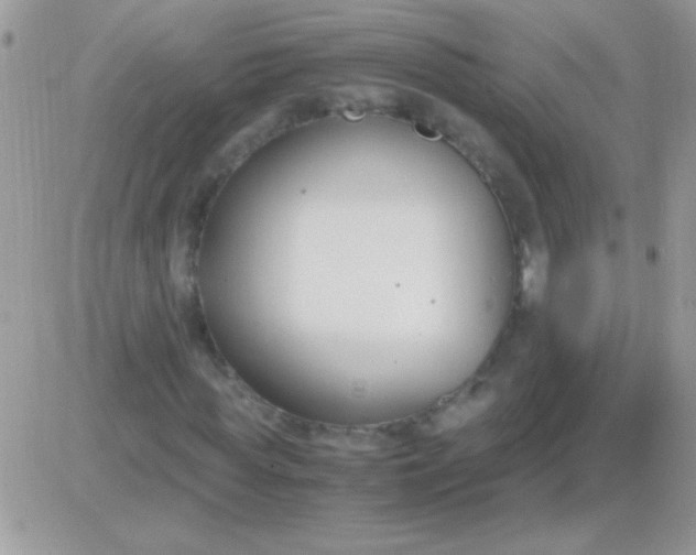 X0000081370819200701252012