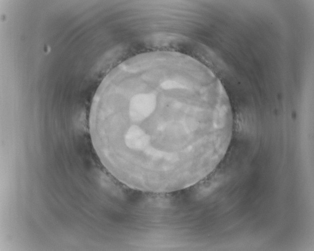 X0000081370820200701252012