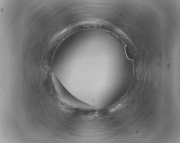 X0000081370822200701252012