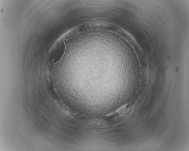 X0000081370823200701252012