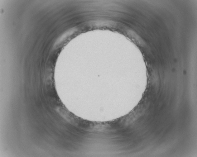 X0000081370824200701252012