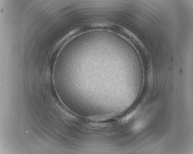 X0000081370825200701252012