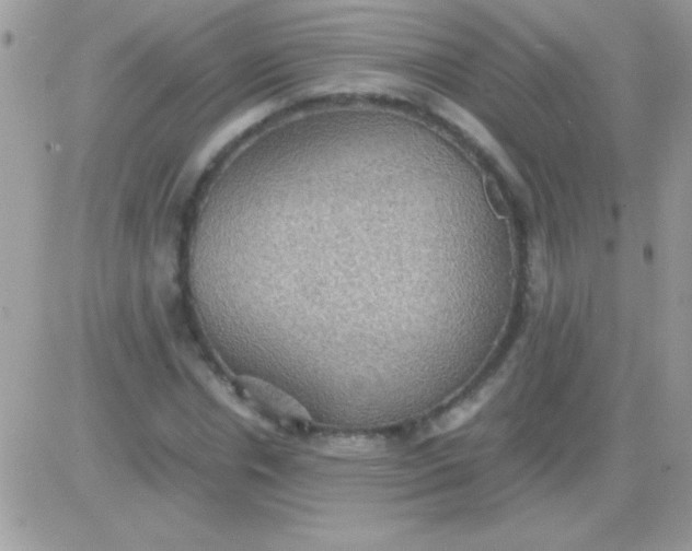 X0000081370826200701252012