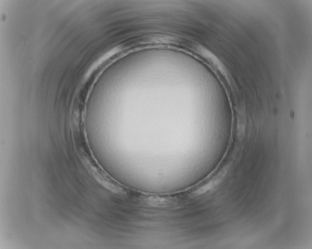 X0000081370827200701252012