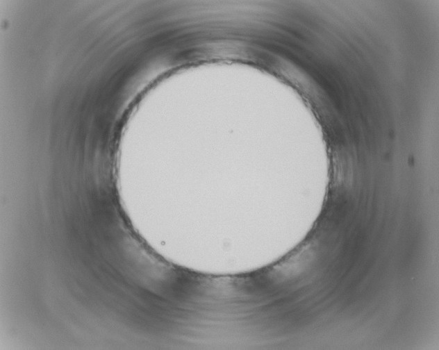 X0000081370828200701252012