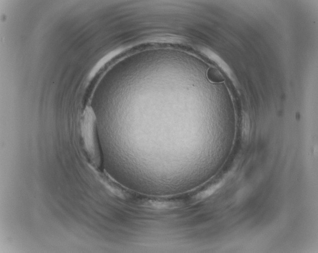 X0000081370829200701252012