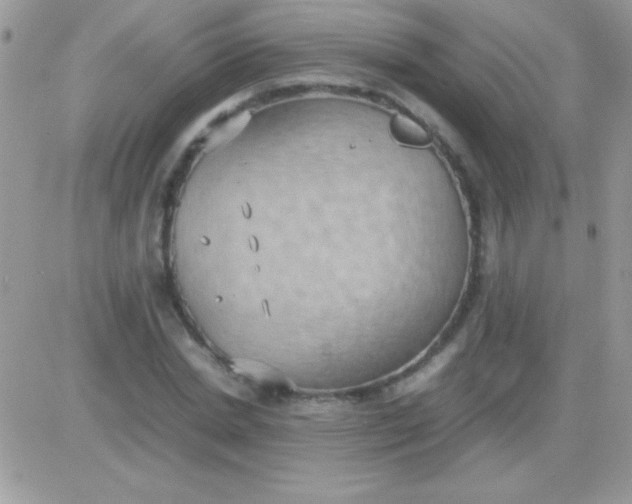 X0000081370830200701252012