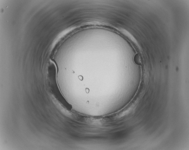 X0000081370831200701252012