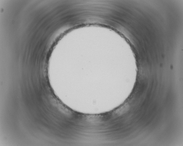 X0000081370832200701252012