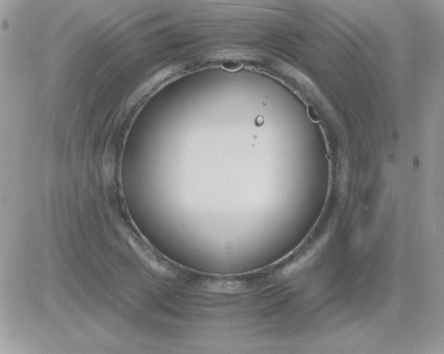 X0000081370833200701252012