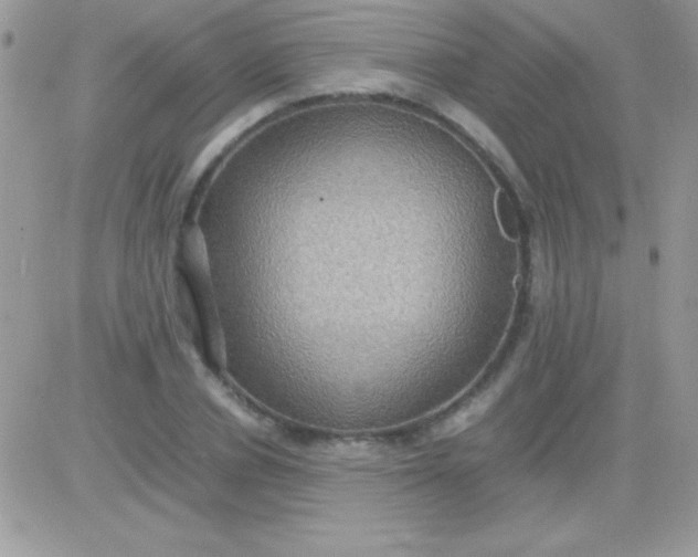 X0000081370834200701252012