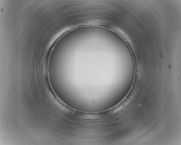 X0000081370835200701252012