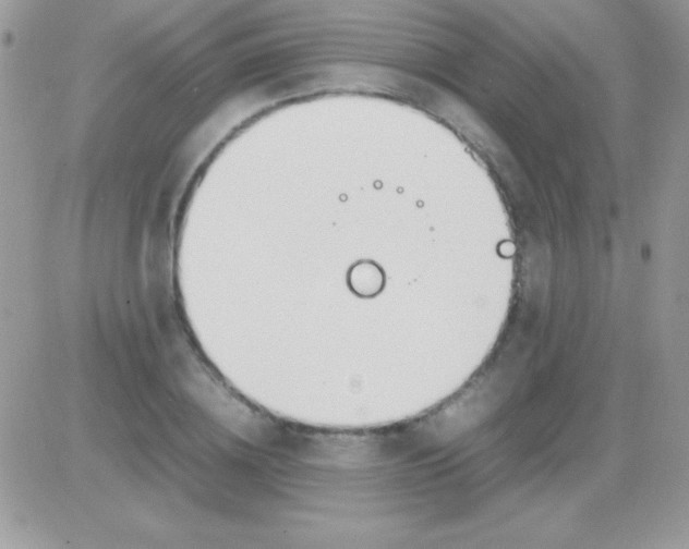 X0000081370836200701252012