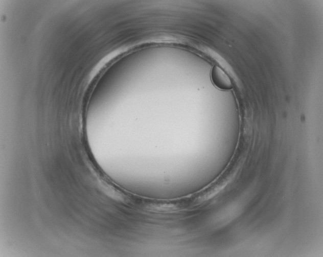 X0000081370837200701252012