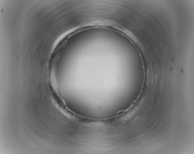 X0000081370838200701252012