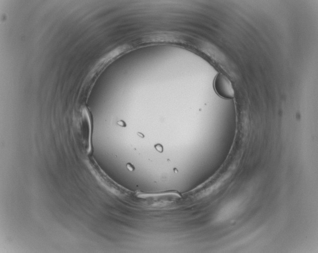 X0000081370841200701252012