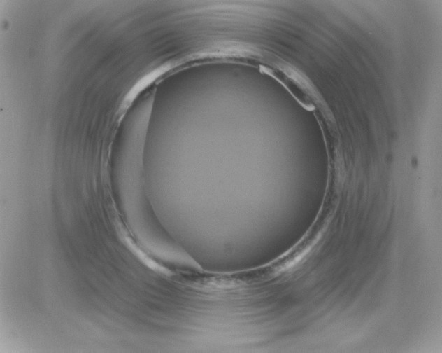 X0000081370842200701252012