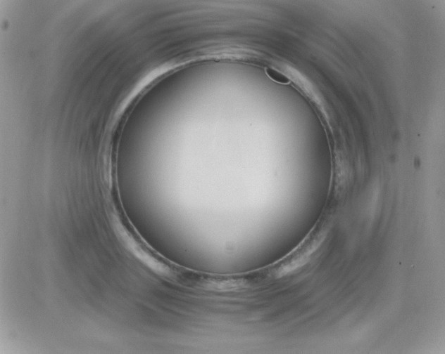 X0000081370843200701252012