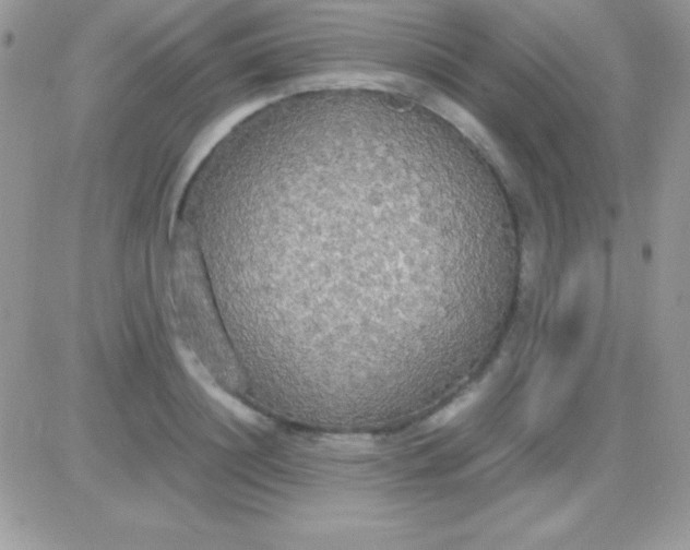 X0000081370844200701252012