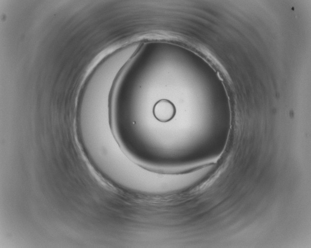 X0000081370845200701252012