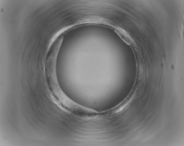 X0000081370846200701252012