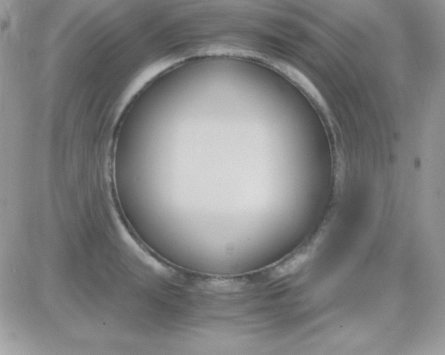 X0000081370847200701252012