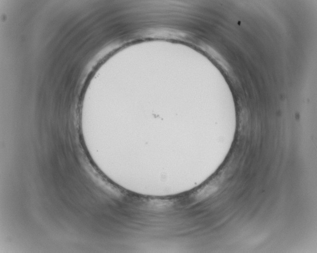 X0000081370848200701252012