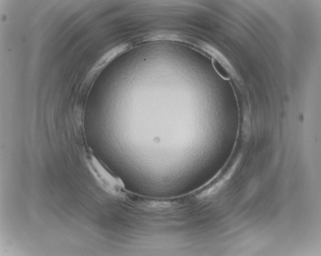 X0000081370849200701252012