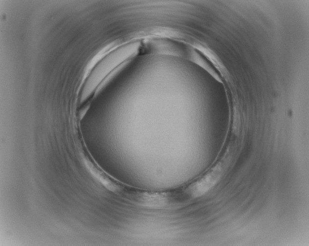 X0000081370850200701252012